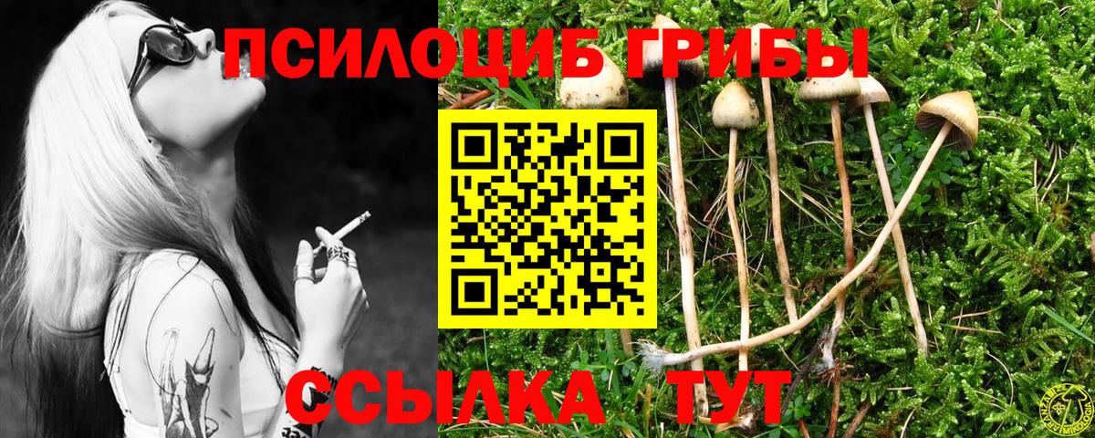 Галлюциногенные грибы ЛСД Туапсе
