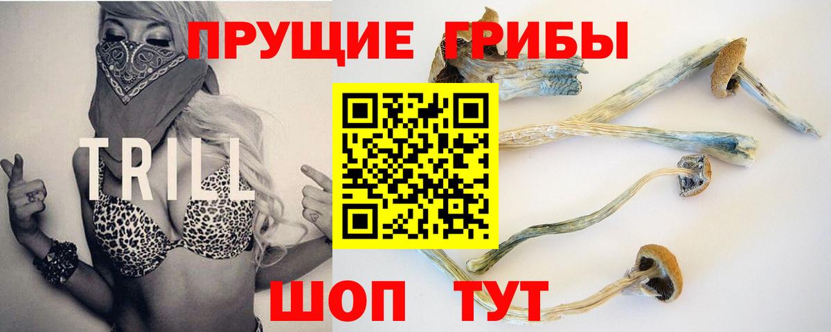 Галлюциногенные грибы мицелий  Вход с VPN  сколько стоит  Туапсе 